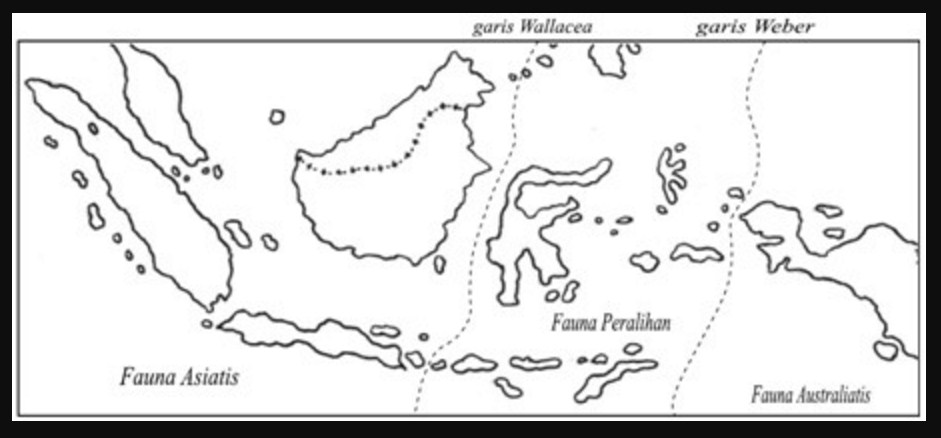 peta indonesia polos